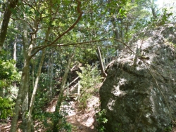 画像18